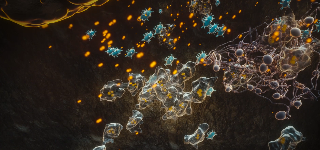 3d image how soil microbes slowly release micronutrients from fertilizers 