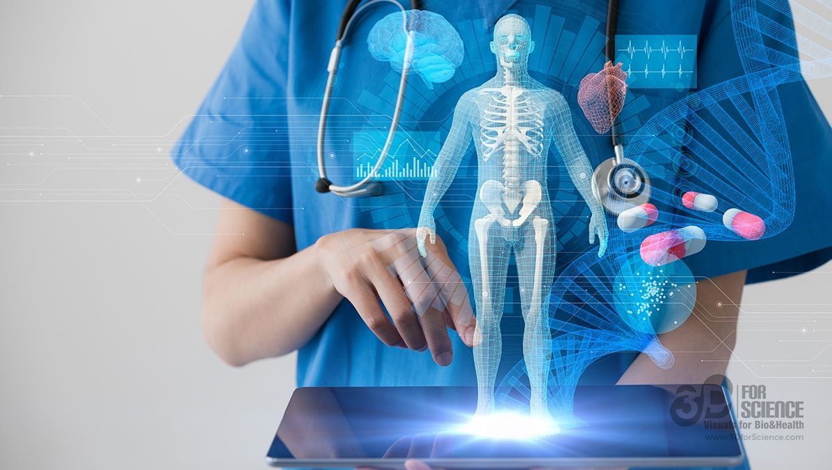 The market of Holographic Medical Imaging in marketing