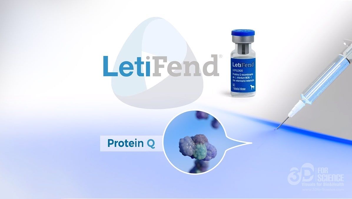 Business Case: Mechanism of action of Letifend
