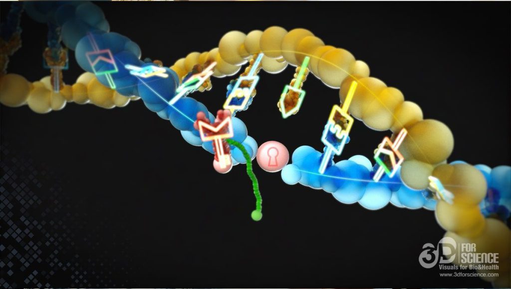 dna sequence imaging in the health sector