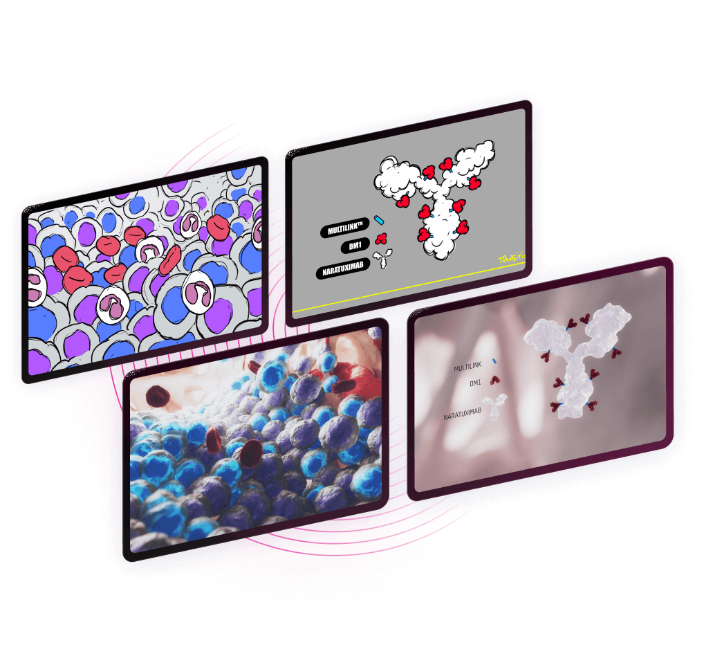 <span class="text-gradient">Solutions</span> applied
