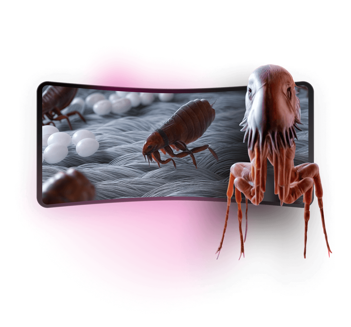 KNOW-HOW: <span class="text-gradient">Scientific Accuracy in Every Frame</span>
