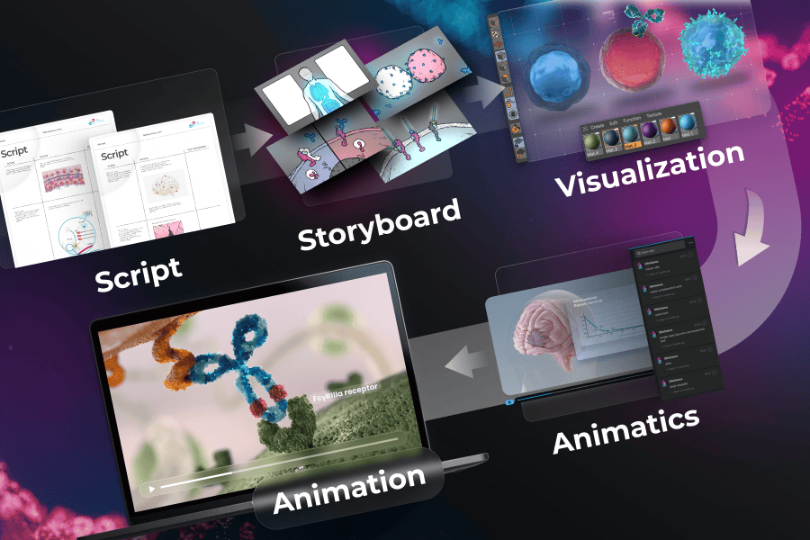 medical animation process infography