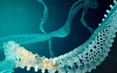 Gene Editing and Augmented Reality: CRISPR Case