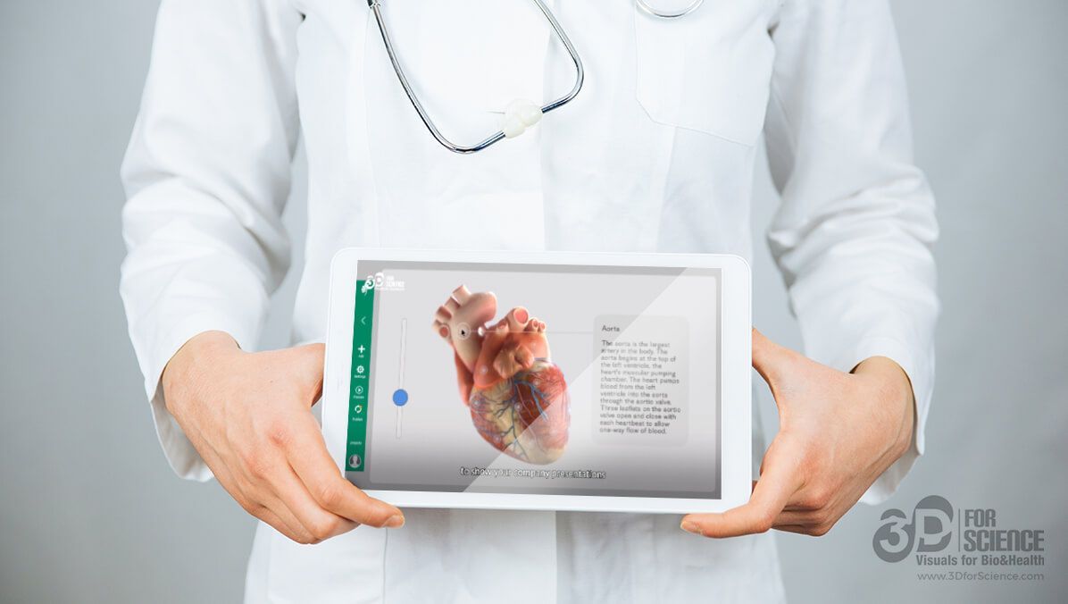 3d animation in e-health era