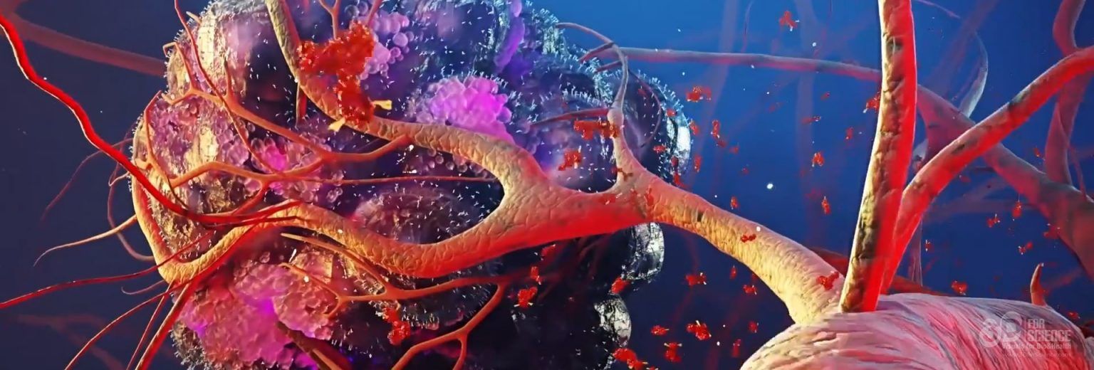Medical animation videos marketing 3DforScience
